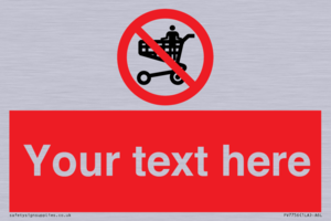 Custom prohibition no standing in trolley